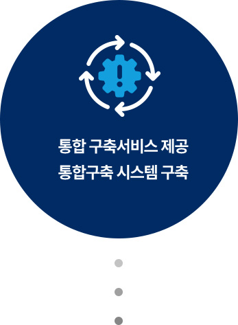 통합 구축서비스 제공, 통합구축 시스템 구축